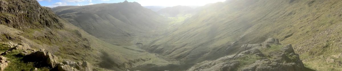 Salewa Wildfire Shoe Review